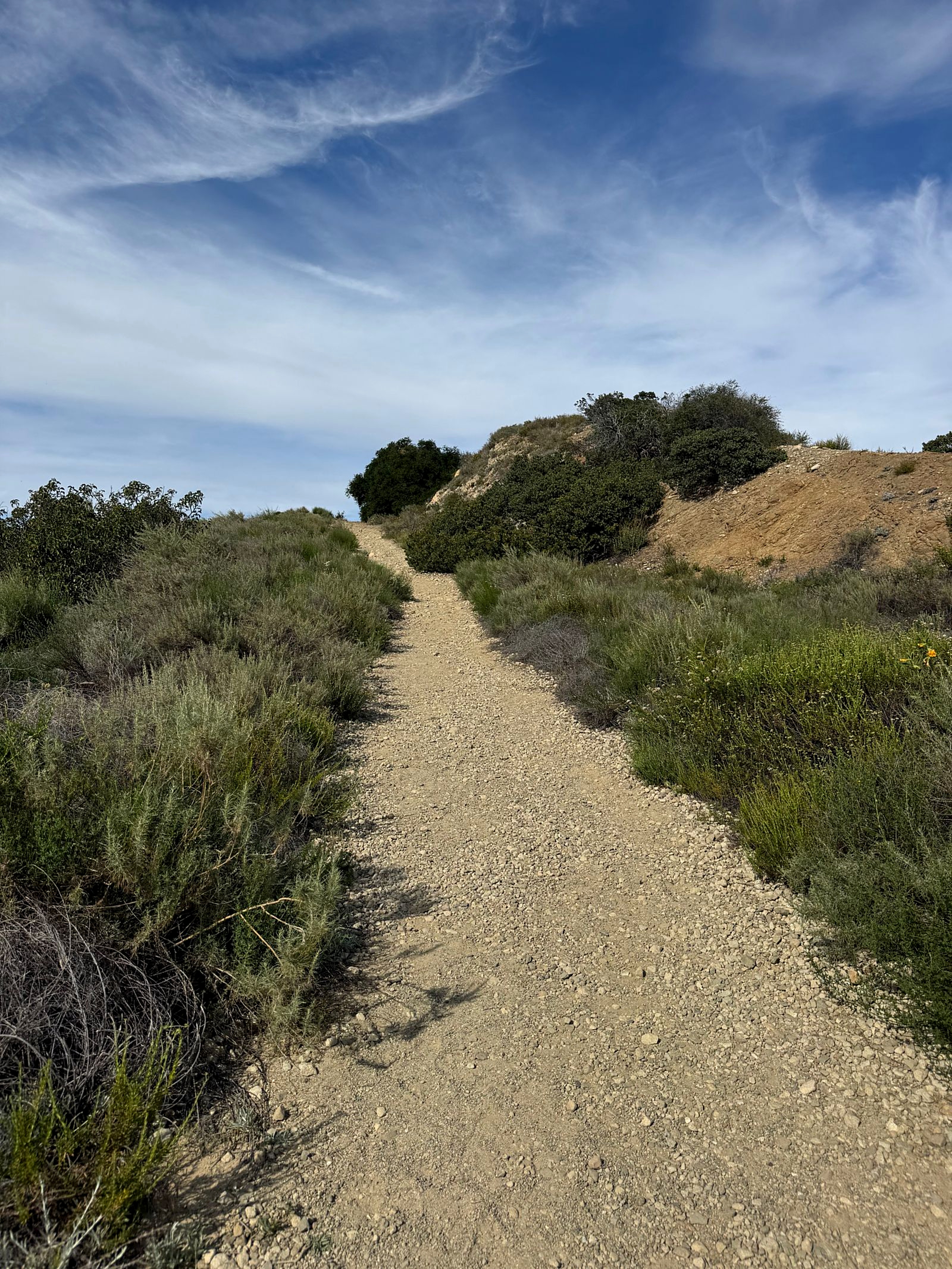 Hiking trail through the Santa Monica Mountains near Calabasas
