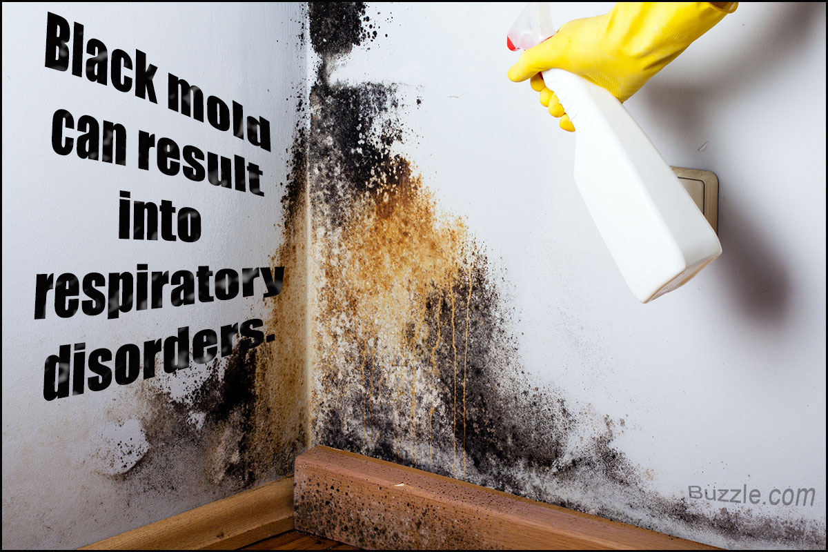 Do You Have Mold? If So Read Below!