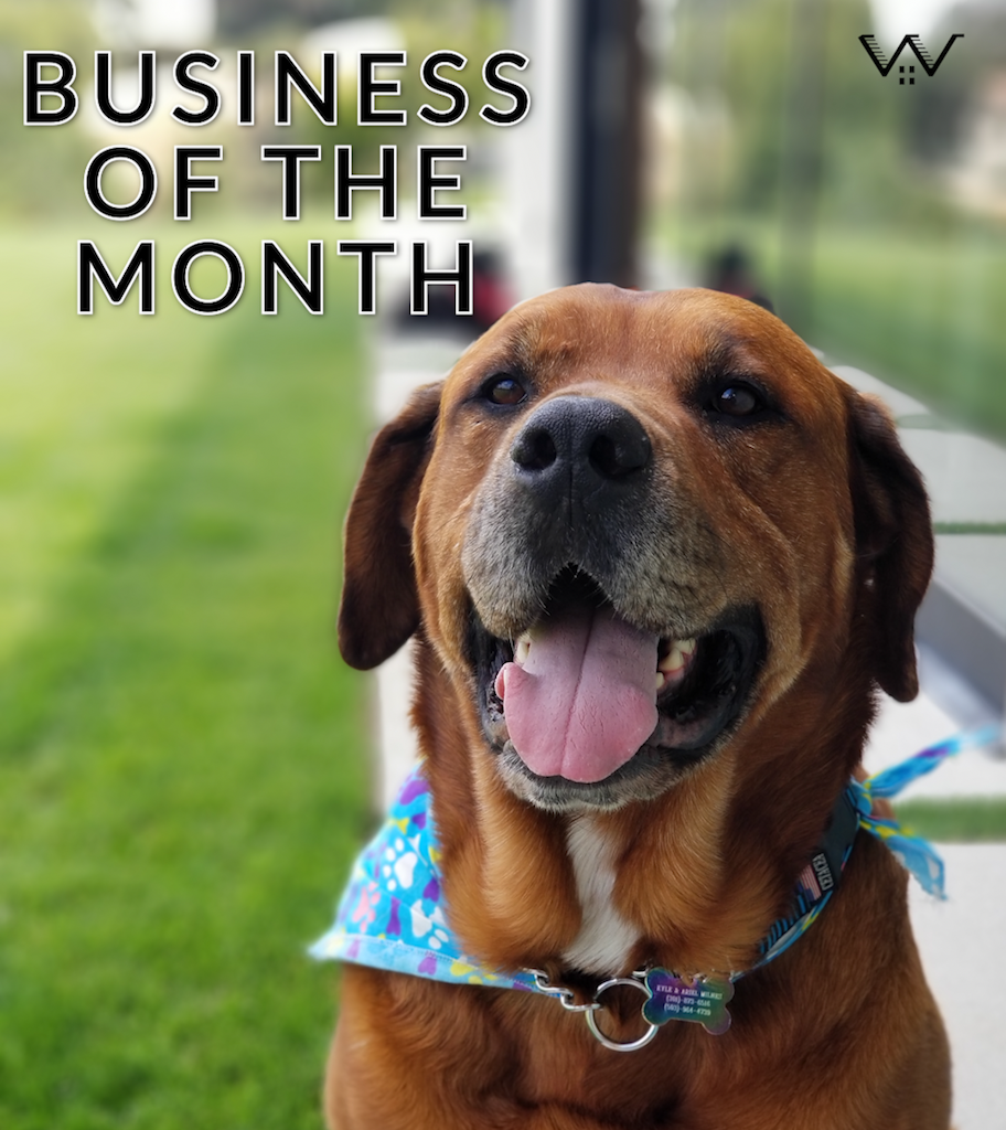 Business of the Month: Kahuna Dog Walking, LLC